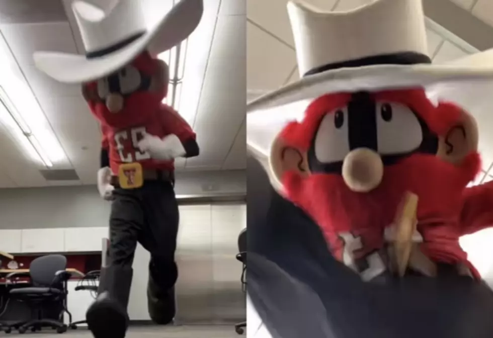 Raider Red Participates in Hilarious New TikTok Trend