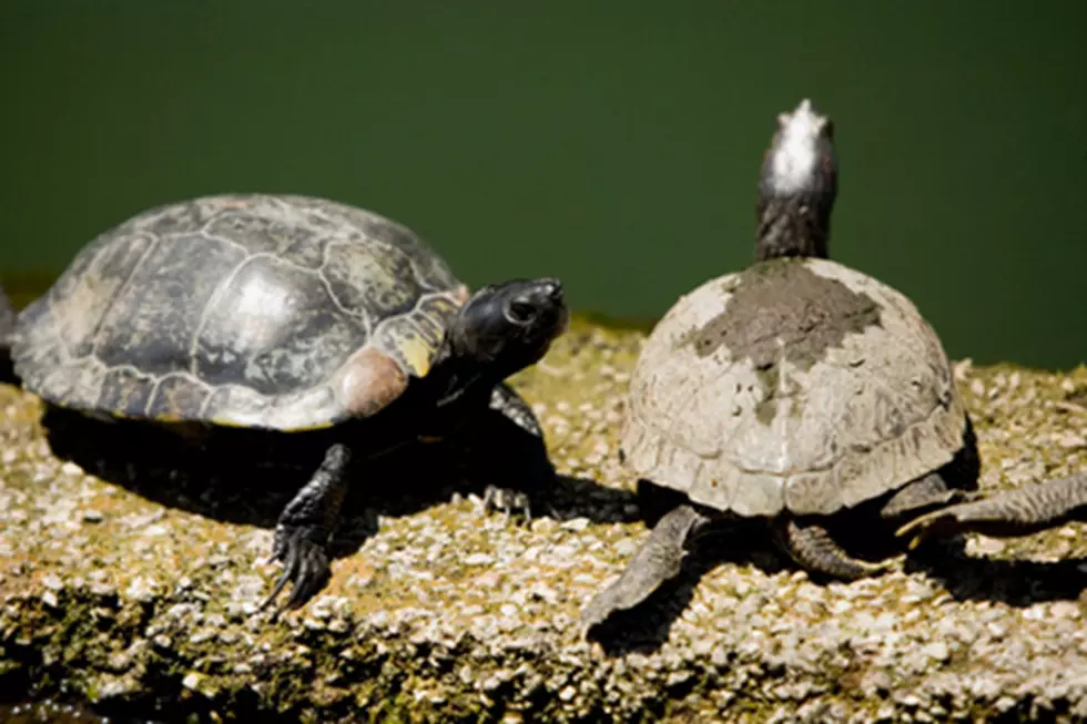 ThinkStock
